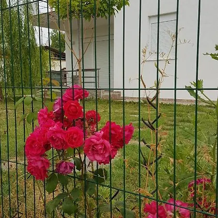 Fotini Villa