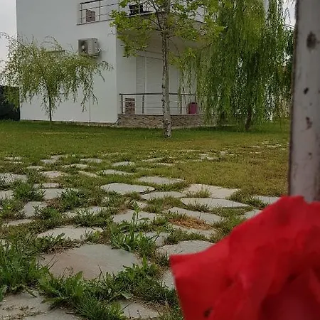 Fotini * Kariani